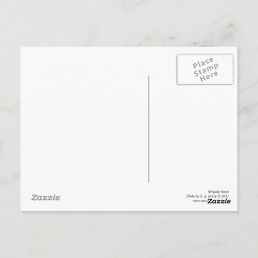 Greylag Goose Briefkaart (Achterkant)