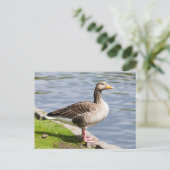 Greylag Goose Briefkaart (Staand voorkant)