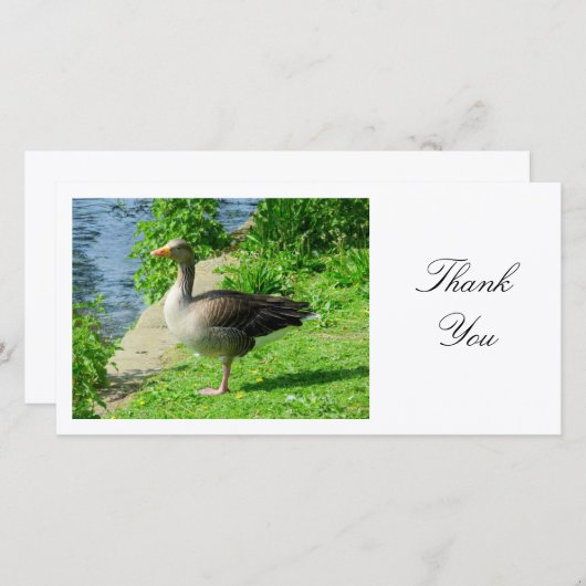 Greylag Goose - Dank u wel Bedankkaart (Voorkant / Achterkant)