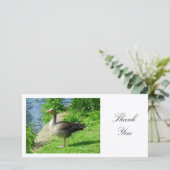 Greylag Goose - Dank u wel Bedankkaart (Staand voorkant)