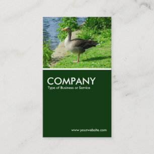 Greylag Goose - Donkergroen Visitekaartje