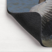 Greylag Goose Muismat (Hoek)