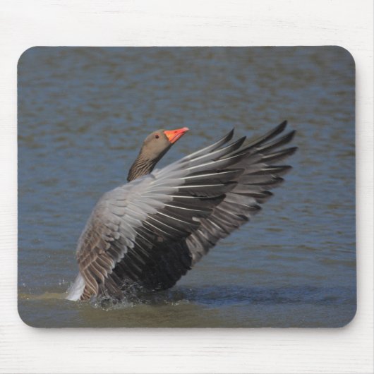 Greylag Goose Muismat (Voorkant)