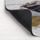 Greylag Goose Muismat (Hoek)