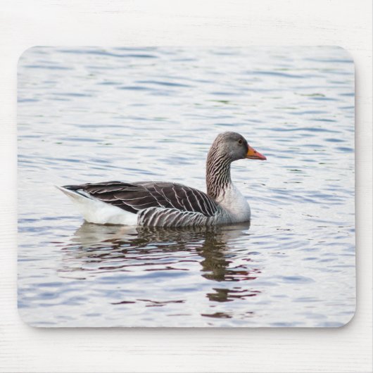 Greylag Goose Muismat (Voorkant)