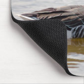 Greylag Goose Muismat (Hoek)