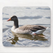 Greylag Goose Muismat (Voorkant)
