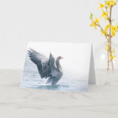 Greylag goose natuur foto kaart (Gele Bloem)