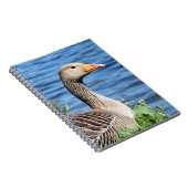 Greylag Goose Notitieboek (Rechterzijde)