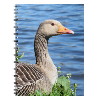 Greylag Goose Notitieboek