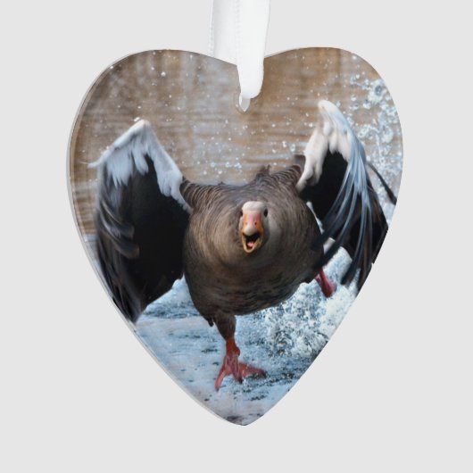 Greylag Goose op de Chase Ornament (voorkant)