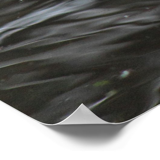 Greylag Goose Roath Park Lake, Cardiff, Wales Pos Poster (Hoek)