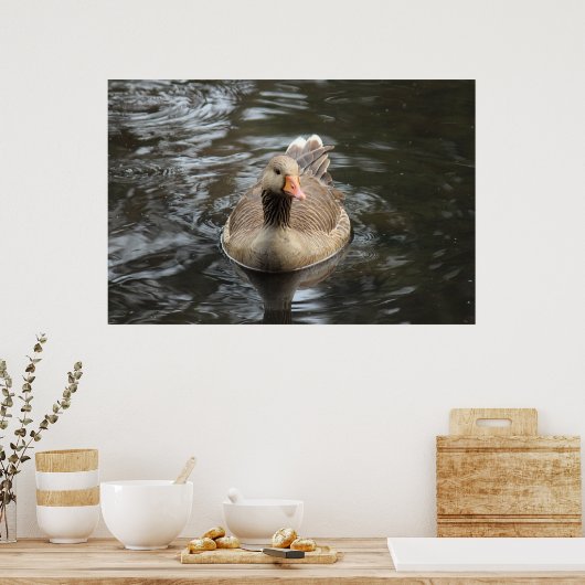 Greylag Goose Roath Park Lake, Cardiff, Wales Pos Poster (Keuken)