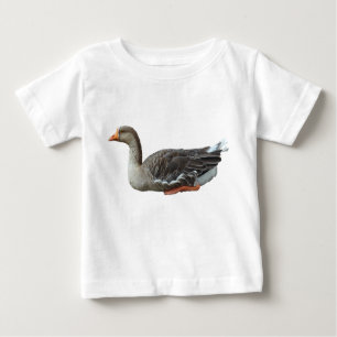 Greylag Swan Goose Cross