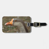 Greylag Swan Goose Cross Bagagelabel (Voorkant horizontaal)