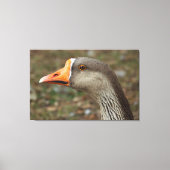Greylag Swan Goose Cross Canvas Afdruk (Voorkant)