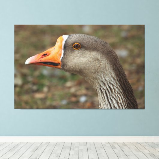Greylag Swan Goose Cross Canvas Afdruk (Insitu (Houten vloer))