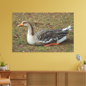 Greylag Swan Goose Cross Canvas Afdruk (Insitu (Woonkamer))