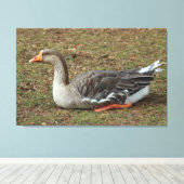 Greylag Swan Goose Cross Canvas Afdruk (Insitu (Houten vloer))
