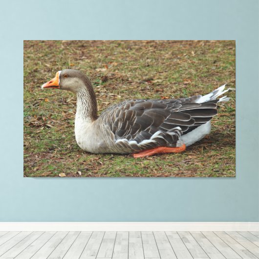 Greylag Swan Goose Cross Canvas Afdruk (Insitu (Houten vloer))