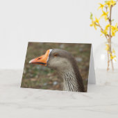 Greylag Swan Goose Cross Kaart (Gele Bloem)