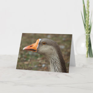 Greylag Swan Goose Cross Kaart