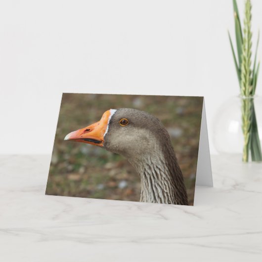 Greylag Swan Goose Cross Kaart (Voorkant)