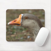 Greylag Swan Goose Cross Muismat (Met muis)