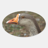 Greylag Swan Goose Cross Ovale Sticker (Voorkant)