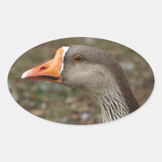 Greylag Swan Goose Cross Ovale Sticker (Voorkant)