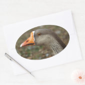 Greylag Swan Goose Cross Ovale Sticker (Envelop)