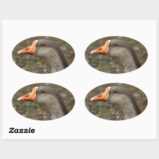 Greylag Swan Goose Cross Ovale Sticker (Vel)