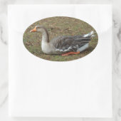 Greylag Swan Goose Cross Ovale Sticker (Tas)