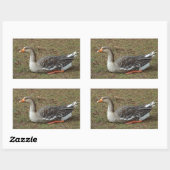 Greylag Swan Goose Cross Rechthoekige Sticker (Vel)