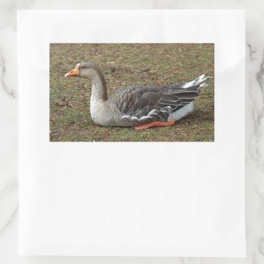 Greylag Swan Goose Cross Rechthoekige Sticker (Tas)