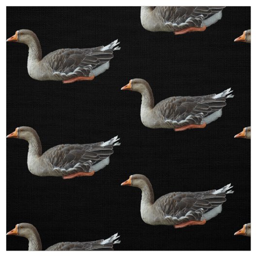 Greylag Swan Goose Cross Stof (Swatch)
