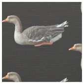Greylag Swan Goose Cross Stof (Close Up)
