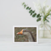Greylag Swan Goose Cross Visitekaartje (Staand voorkant)