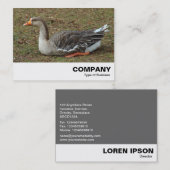 Greylag Swan Goose Cross Visitekaartje (Voorkant / Achterkant)
