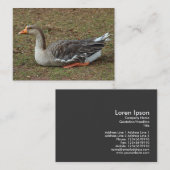 Greylag Swan Goose Cross Visitekaartje (Voorkant / Achterkant)
