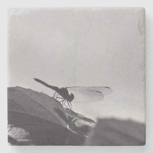 Greyscale Dragonfly op Stone Onderzetter (Voorkant)