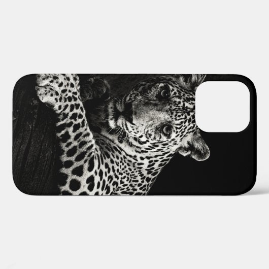 GREYSCALE FOTO VAN LYING LEOPARD Case-Mate iPhone CASE (Achterkant (horizontaal))