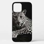 GREYSCALE FOTO VAN LYING LEOPARD Case-Mate iPhone CASE (Achterkant)