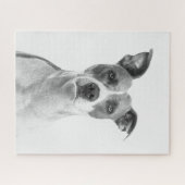 Greyscale Short Haire Dog in zwart-wit Legpuzzel (Horizontaal)