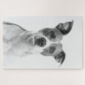 Greyscale Short Haire Dog in zwart-wit Legpuzzel (Horizontaal)