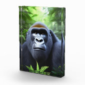 Greyson The Male Gorilla, fotoblok (Rechts)