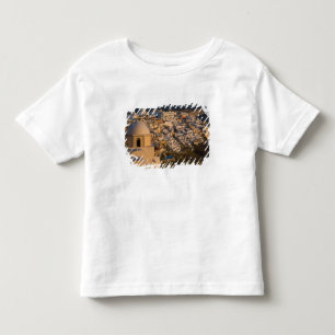 Griekenland en Grieks eiland van Santorini stad va Kinder Shirts