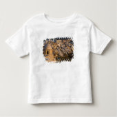 Griekenland en het Griekse eiland Santorini Kinder Shirts (Voorkant)