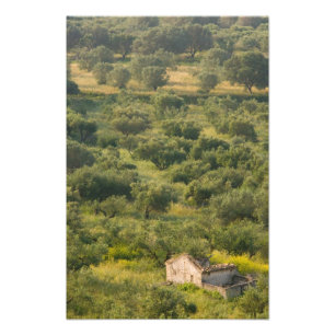 GRIEKENLAND, Ionische Eilanden, KEFALONIA, Havriat Foto Afdruk