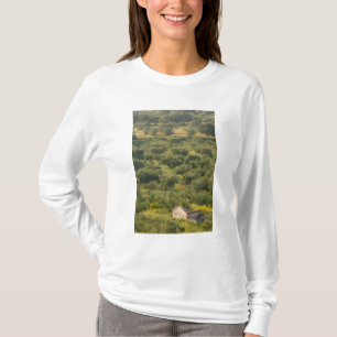 GRIEKENLAND, Ionische Eilanden, KEFALONIA, Havriat T-shirt